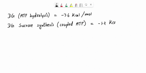 in-plant-cells-the-enzyme-sucrose-synthase-combines-glucose-and-fructose-to-generate-sucrose-this-reaction-could-be-considered-coupled-reaction-with-atp-hydrolysis-as-follows-atp-hjo-adp-p-a-47574
