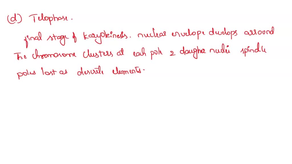 SOLVED The nuclear envelope forms around each group of chromosomes and