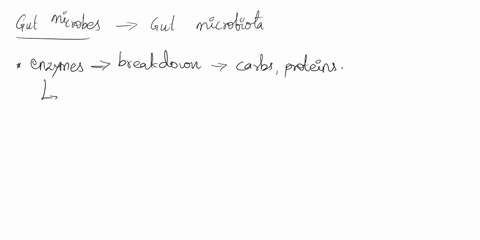 which-of-the-following-is-nqia-benefit-provided-by-gut-microbiota-select-all-that-apply-enzymes-that-catalyze-digestion-of-food-inhibition-of-inflammation-host-tissue-development-synthesis-o-71434