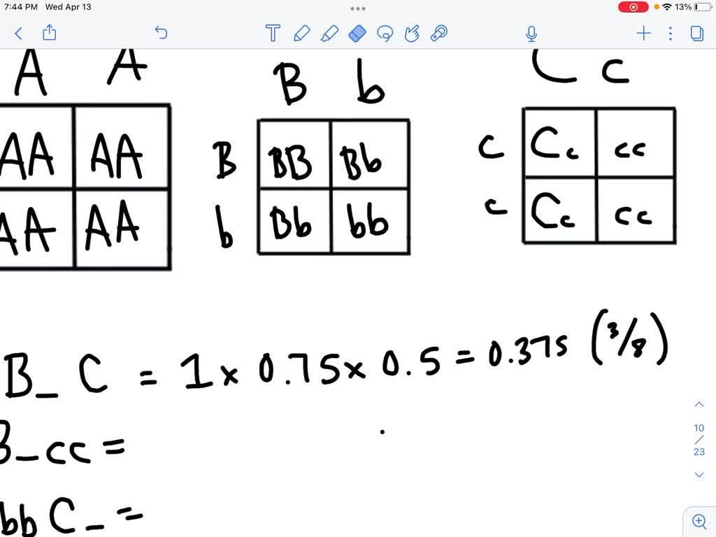 SOLVED: For the following cross, what fraction of the offspring would ...