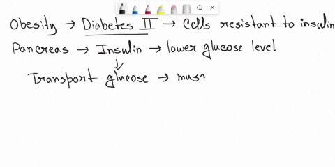 how-does-obesity-cause-diabetes-78799