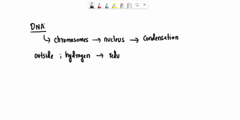 explain-how-the-double-helix-structure-of-dna-aids-in-the-function-of-replication-43492
