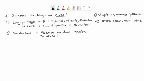 d-respiratory-memorales-4-surfaces-consists-exchange-page-20-the-respiratory-membrane-of-the-gas-cpithelium-pseudostratified-ciliated-columnar-b-moist-cuboidal-cpithelium-simple-squamous-cpi-20278