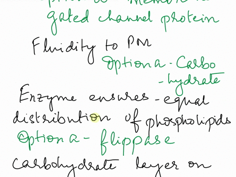 alultipk-choist-zpts-carbohydratc-laycr-on-uhc-plasma-mcmbrng-includes-ofthe-tolloxinecrcsd-adhcsion-givcs-a-cell-ils-distinctv-chirctenc-recognition-d-none-of-thesc-enswcrs-contec-bactcrior-68764