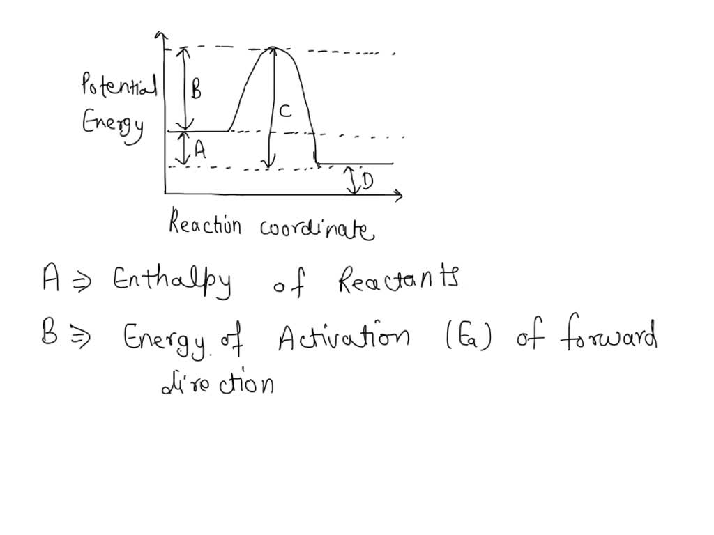 SOLVED Which Arrow Represents The Activation Energy Of The Forward 