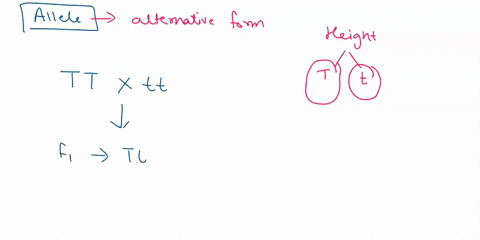 whether-an-allele-is-dominant-or-recessive-depends-on-how-common-the-allele-is-within-the-population-whether-it-is-inherited-from-the-mother-or-the-father-whether-or-not-it-is-linked-to-othe-04815