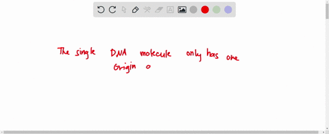 what-statement-about-the-dna-replication-process-in-prokaryotes-is-true-12994