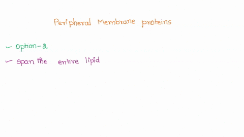 what-is-the-primary-characteristic-of-peripheral-membrane-proteins-they-cannot-be-post-translationally-modified-they-span-the-entire-lipid-bilayer-sometimes-multiple-times-weak-intermolecula-76857