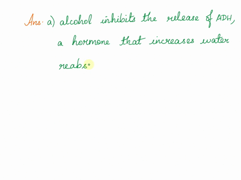 drinking-alcohol-makes-you-urinate-more-frequently-because-a-alcohol-inhibits-the-release-of-adh-a-h-84674