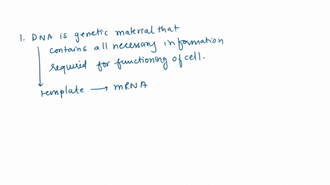 transcription-and-translation-1-in-transcription_what-is-copied-what-is-made-2-what-is-the-role-of-the-promoter-terminator-and-mrna-in-transcription-3-explain-why-the-genetic-code-is-a-tripl-57263