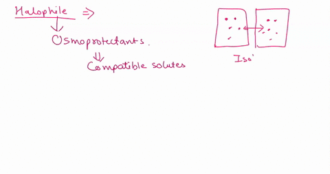 5_-halophilic-bacteria-are-able-to-live-and-grow-in-extremely-high-salt-pools-that-are-too-salty-for-other-life-forms-to-thrive-in-these-organisms-have-adapted-salt-pumps-that-move-salt-ions-07354