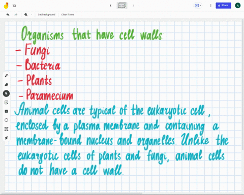 which-of-the-following-organisms-have-cell-walls-fungi-bacteria-animals-plants-paramecium-97617