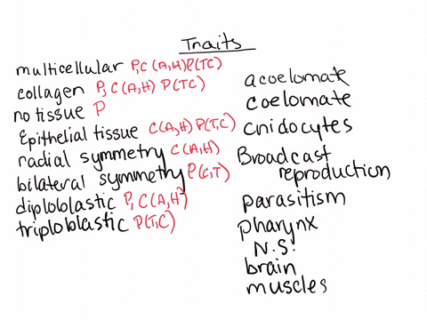 complete-the-following-table-by-checking-the-characteristics-that-belong-to-each-taxonomic-group_-use-if-present-in-the-phylum-or-class-and-0if-absent-remember-traits-can-build-on-one-anothe-22254