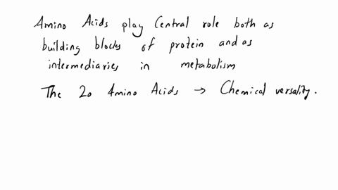 there-are-20-primary-amino-acids-that-make-up-all-proteins-but-why-those-20-why-leucine-arginine-glutamine-tryptophan-why-not-a-side-chain-with-just-two-carbons-or-three-or-four-in-a-straigh-62673