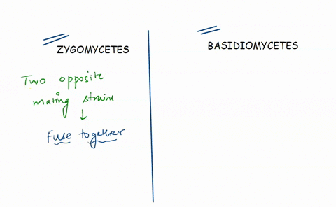 sexual-reproduction-in-zygomycetes-differs-from-sexual-reproduction-in-basidiomycetes-in-one-key-way-which-of-the-following-is-true-of-zygomycetes-but-not-true-of-basidiomycetes-a-meiosis-to-42908