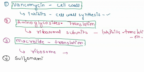 match-each-antibacterial-drug-with-its-primary-target-vancomycin-choose_-aminoglycosides-choose-macrolide-metabolic-pathway-nucleic-acid-synthesis-sulfonamides-translation-fluoroquinolones-c-38115