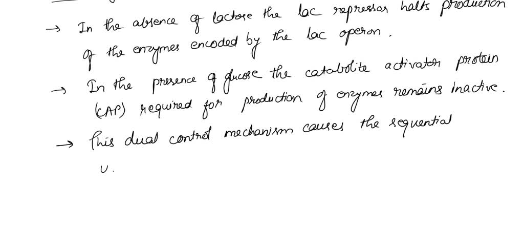 SOLVED: An E. coli culture is grown on a mixture of glucose and lactose ...