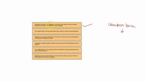 infection-by-the-varicella-zoster-virus-causes-chickenpox-evaluate-the-statements-below-and-assess-which-are-correct-regarcing-tne-consequences-of-varicella-infection-29-individuals-who-reco-87364