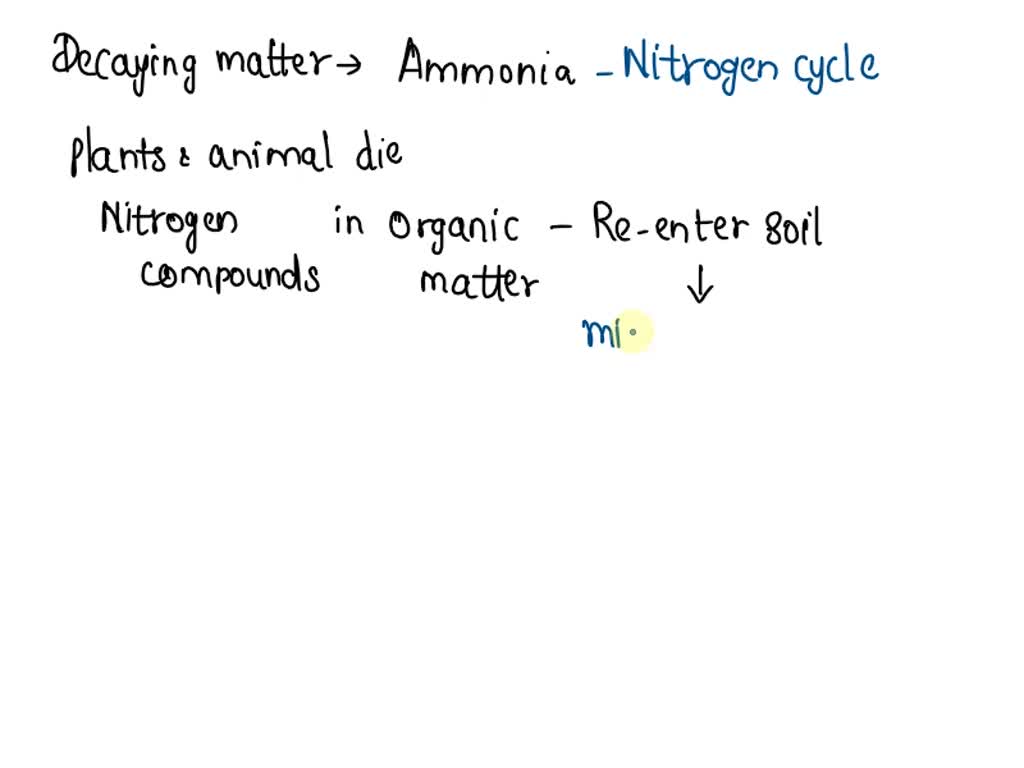SOLVED What process converts waste and decaying matter into ammonia
