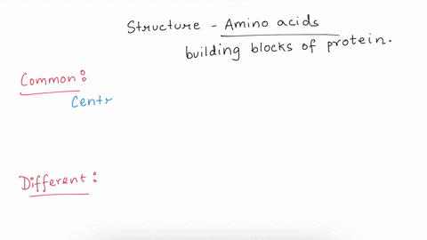 what-3-parts-of-an-amino-acid-attached-to-the-central-carbon-stay-the-same-regardless-of-what-amino-acid-it-is-what-is-the-one-part-that-changes-03688