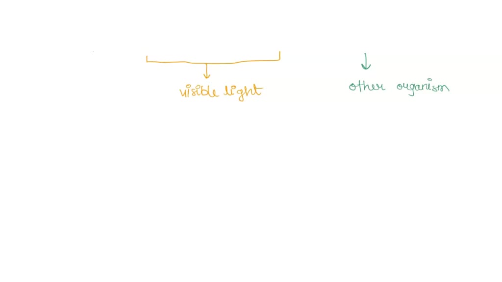 the frequency of visible light of wavelength 600 nm is