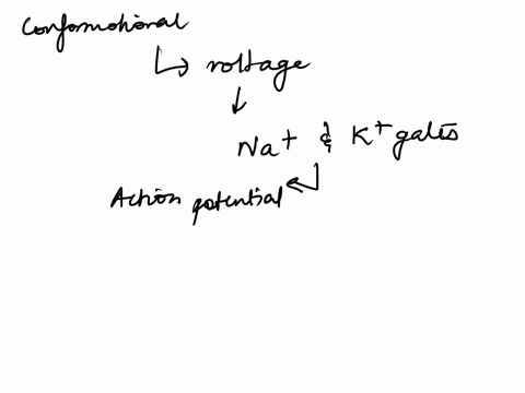 conformational-changes-in-channel-proteins-brought-about-by-voltage-changes-are-responsible-for-open-89585