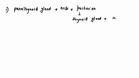 pzrathyroid-gland-during-lab-vou-use-d-light-microscope-viewtne-histological-appearance-the-parathyroid-eljnd-and-you-reviewed-anatomical-models-ansive-the-following-questions-pertaining-par-64237