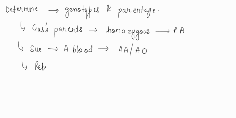 sue-is-guss-wife-she-has-type-a-blood-while-both-of-guss-parents-were-homozygous-type-a-rebecca-has-type-o-blood-and-her-husband-cooper-has-type-b-blood-coopers-parents-were-both-type-ab-all-88298