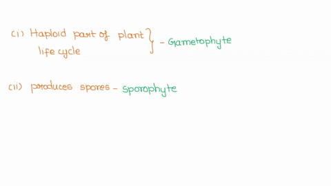 question-1-2-pts-please-choose-the-correct-part-of-the-alternation-of-generations-lifecycle-for-each-of-the-descriptions-haploid-part-of-the-plant-lifecycle-gametophyte-produces-spores-sporo-56377