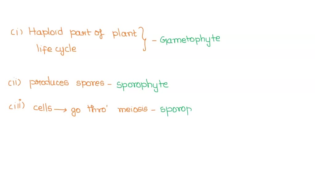 SOLVED QUESTION 11 The gametophyte generation produces spores; mitosis