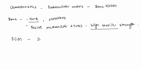 6which-of-the-following-best-characterizes-the-extracellular-matrix-ecm-f-bonetssue-abone-tissue-ecm-consists-of-only-calcium-hydroxyapatite-crystals-bbone-tissue-ecm-consists-of-calcium-hyd-84944