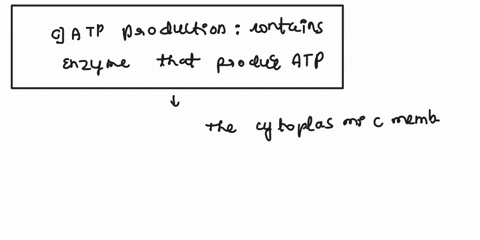 3-among-the-functions-of-the-citoplasmatic-membrane-we-can-count-a-all-the-above-b-photosynthesis-all-membranes-have-photosyntheticpigments-on-foldings-called-chromatophores-c-atp-production-39895