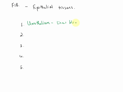 one-of-the-subclasses-of-epithelial-tissue-is-________-tissue-which-lines-the-bladder-another-subclass-of-epithelial-tissue-is-______-epithelium-which-are-flat-cells-when-this-type-of-epithe-67213