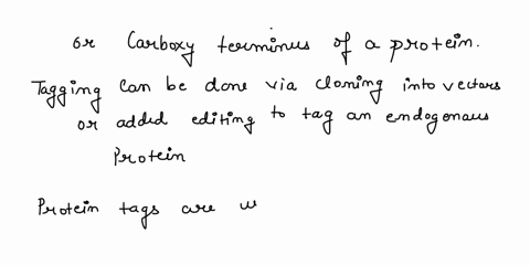 1-explain-how-a-protein-of-interest-can-be-tagged-or-probed-using-either-genetic-or-chemical-approaches-2e-how-a-sample-is-prepared-for-microscopy-alive-dead-stained-etc-to-what-can-be-exami-58722