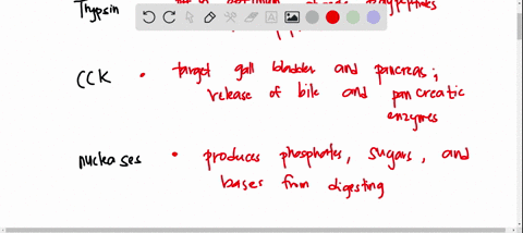 of-contents-unit-d-human-body-systems-unit-d-summative-part-1-question-13-match-the-digestive-enzyme-or-hormone-with-its-correct-descriptive-statement-not-yer-answered-trypsin-choose_-harked-29005
