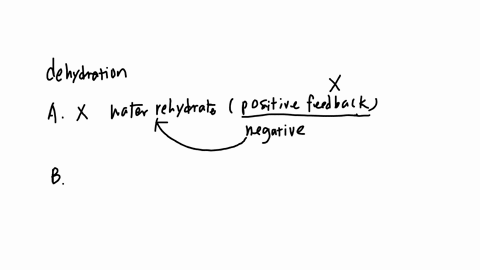 a-patient-is-suffering-from-dehydration-you-are-the-patients-nurse-and-are-responsible-for-explaining-dehydration-to-the-patient-and-then-treating-life-threatening-symptoms-check-all-of-the-answers-3