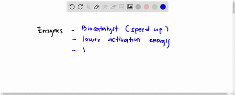 enzymes-are-described-as-catalysts-which-means-that-they-provide-activation-energy-for-the-reactions-they-facilitate-increase-the-free-energy-of-the-reactants-to-make-the-reaction-go-faster-73414