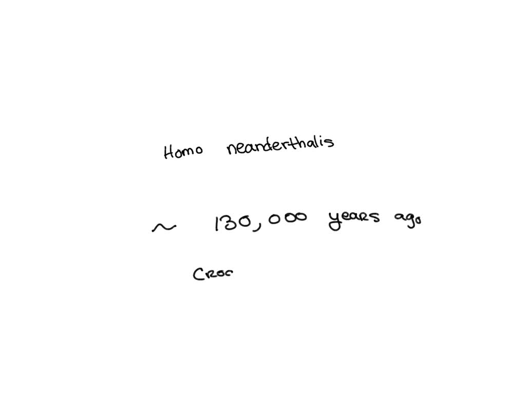 SOLVED The first evidence of deliberate burial of the dead is