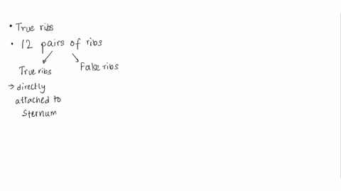 true-ribs-are-________correct-answer-a-ribs-812b-attached-via-their-costal-cartilage-to-the-next-higher-ribc-made-entirely-of-bone-and-thus-do-not-have-a-costal-cartilaged-attached-via-their-21126