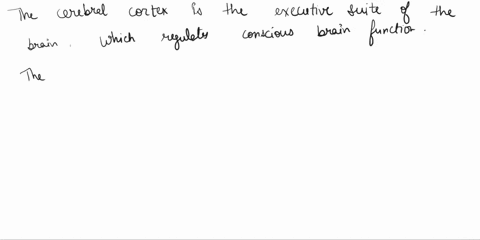 which-part-of-the-brain-is-the-executive-suite-that-controls-conscious-brain-activity-71615