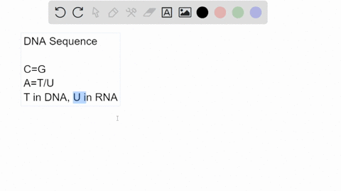 write-the-sequence-of-the-mrna-molecule-transcribed-from-the-following-template-dna-sequence-g-g-a-2-64703