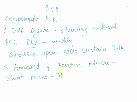what-is-the-role-of-each-of-the-following-components-of-pcr-dna-lysate-forward-and-reverse-primer-taq-polymerase-nucleotides-dntps-magnesium-86741