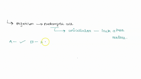 what-are-the-answers-to-these-3-questions-lastedit-was-on-octobel-_-theme-transition-share-assess-it-part-which-organism-is-a-bacteria-made-up-of-one-prokaryotic-cell-flower-c-bear-d-cactus-62627