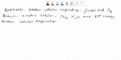 the-reactants-for-aerobic-cellular-respiration-are-glucose-pue-oxygen-the-products-for-aerobic-cellular-respiration-are-carbon-dioxide-water-anc-energyatp-which-organelle-does-aerobic-cellul-40153