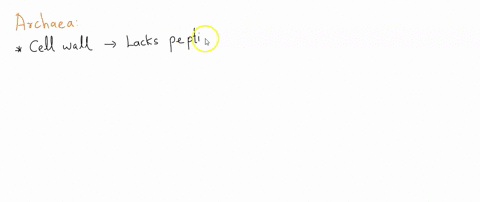 which-of-the-following-are-differences-between-bacteria-and-archaea-a-the-molecular-architecture-of-82283