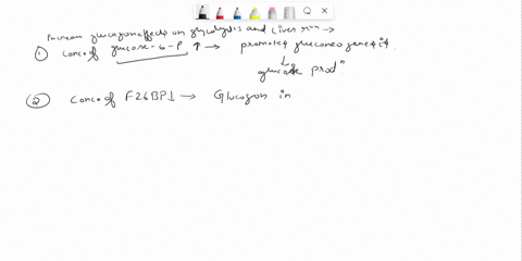 when-blood-glucose-levels-are-low-glucagon-is-secreted-which-of-the-following-are-the-effects-of-increased-glucagon-lavels-on-glycolysis-and-related-reactions-in-liver-the-concentrations-of-43328