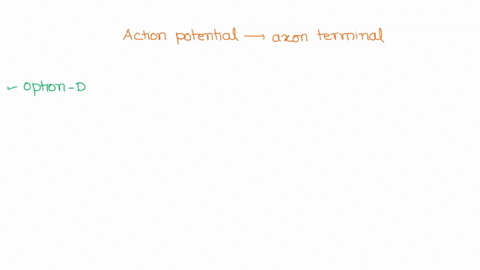 question-18-which-of-the-following-events-occurs-first-after-an-action-potential-arrives-at-an-axon-terminal-neurotransmittcr-binds-reccptors-on-the-postsynaptic-cells-voltage-gated-calcium-25356