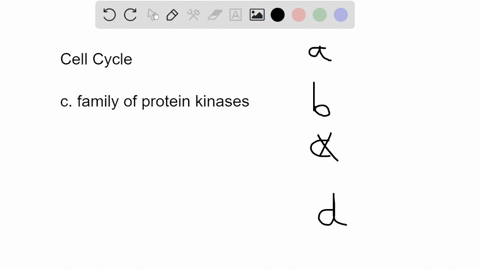 the-passage-of-a-cell-through-the-stages-of-the-cell-cycle-is-controlled-by-protein-kinases-that-phosphorylate-many-different-proteins-at-appropriate-times-what-are-these-protein-kinases-cal-81717