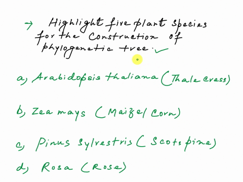phylogenetic-tree-complete-with-five-plants-at-each-tip_-a-list-of-the-plants-including-scientific-name-brief-description-of-the-plant-the-traits-that-are-relevant-to-their-evolutionary-hist-24506