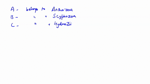 match-the-classes-of-the-phylum-cnidaria-to-the-correct-description-some-will-have-more-than-one-answer-hydrozoa-members-have-polyp-body-forms-only-and-exist-as-colonial-or-solitary-marine-o-06382